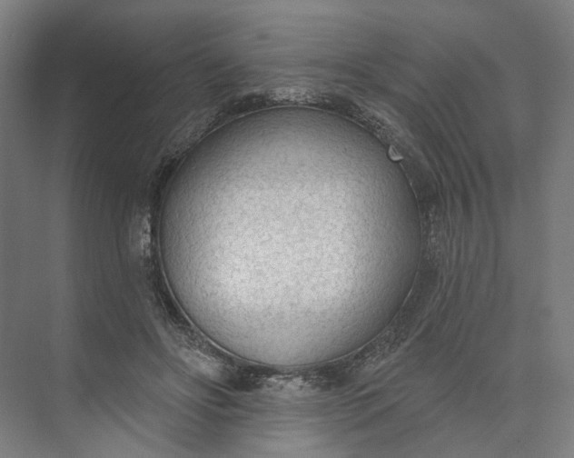 X0000073950502200609051756