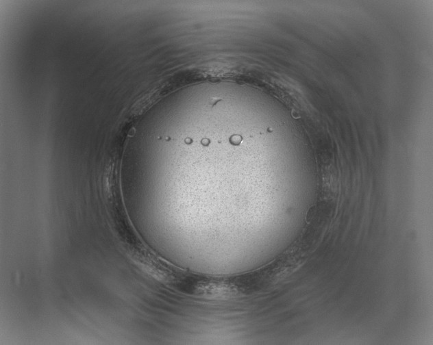 X0000073950503200609051756