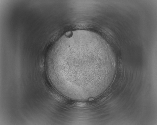 X0000073950507200609051756