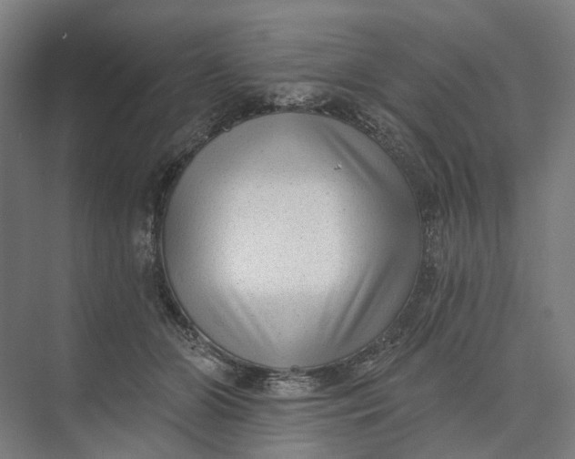 X0000073950510200609051756