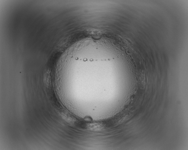 X0000073950511200609051756