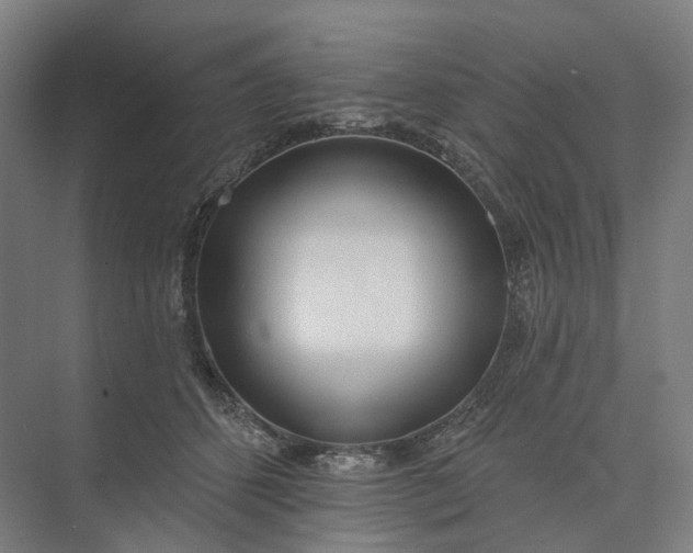 X0000073950512200609051756