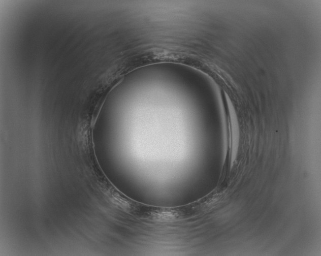 X0000073950513200609051756