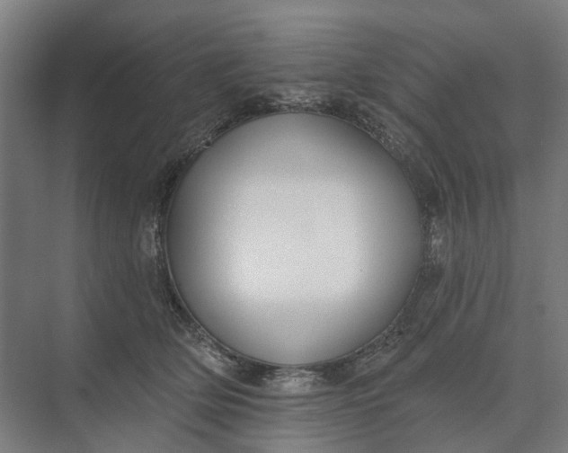 X0000073950514200609051756