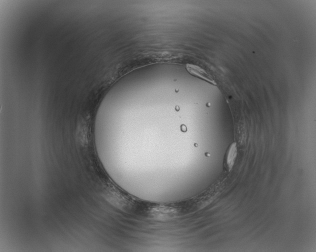 X0000073950515200609051756