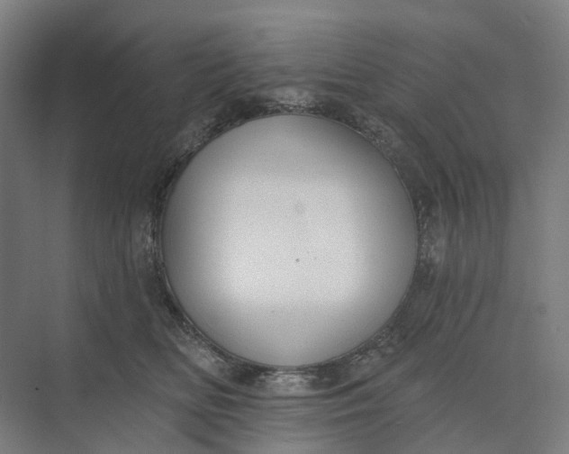 X0000073950518200609051756