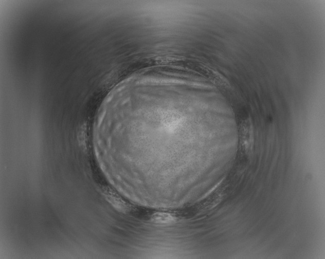 X0000073950519200609051756