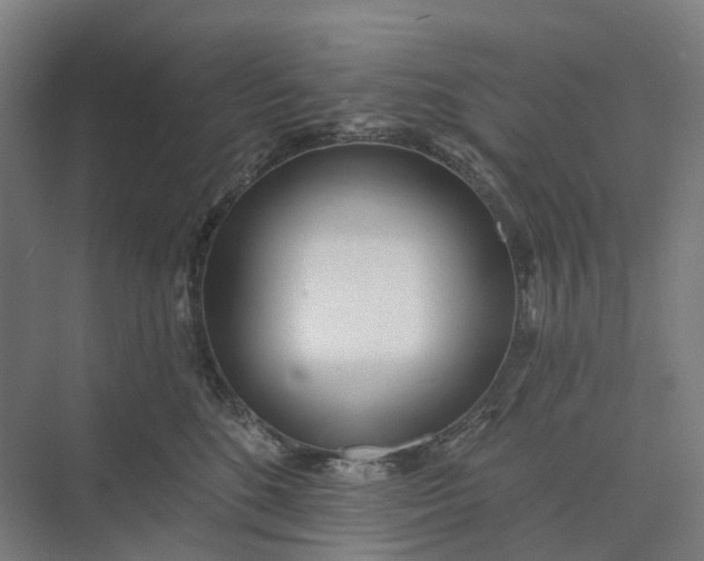 X0000073950520200609051756