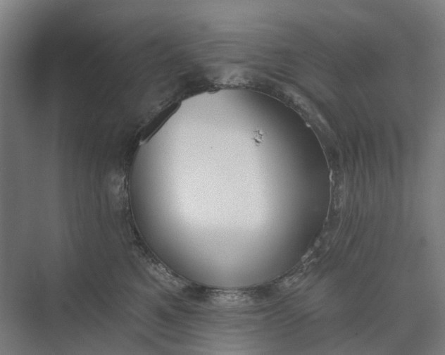 X0000073950521200609051756