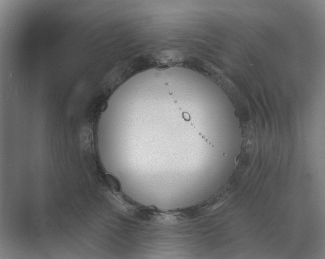 X0000073950523200609051756