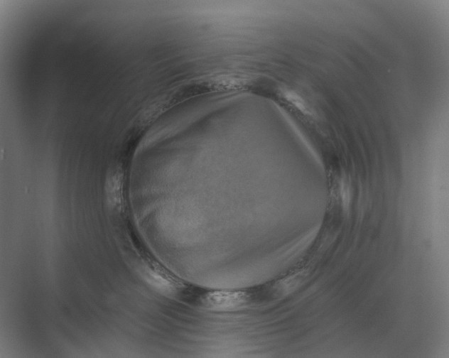 X0000073950526200609051756