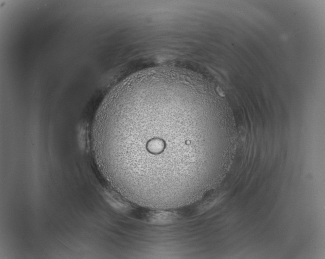 X0000073950527200609051756