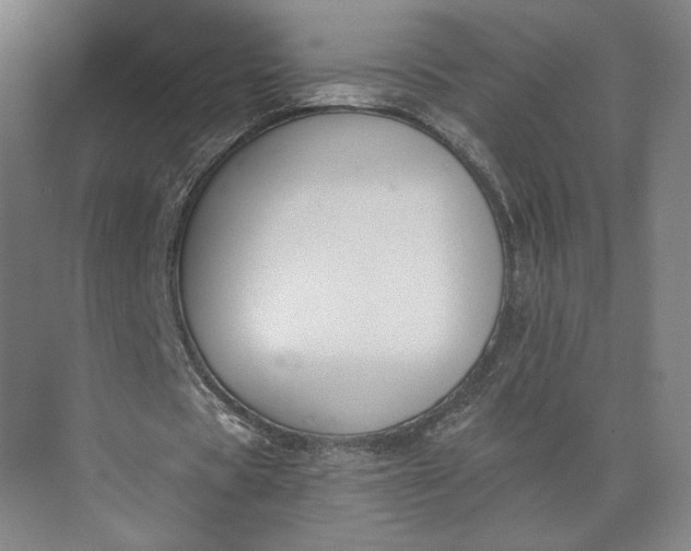 X0000073950529200609051755