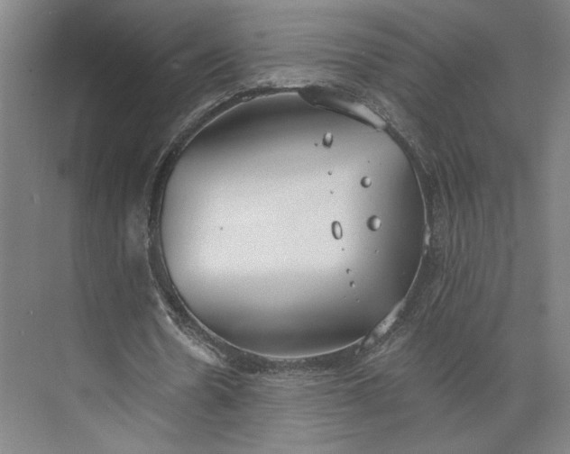 X0000073950530200609051755