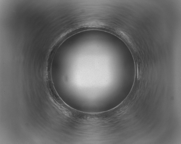 X0000073950531200609051755