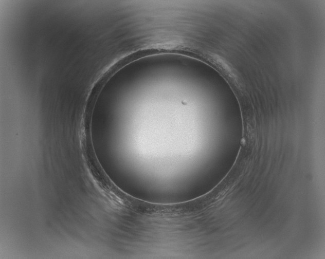 X0000073950532200609051755