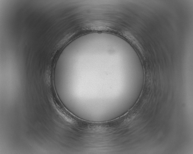 X0000073950533200609051755