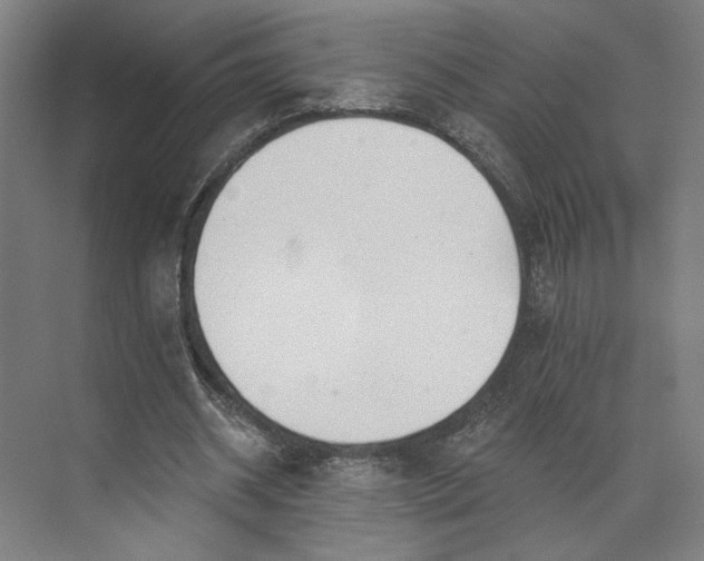 X0000073950534200609051755