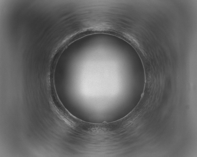 X0000073950535200609051755