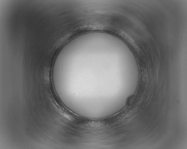 X0000073950537200609051755