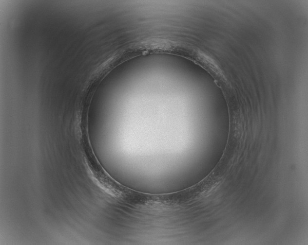 X0000073950538200609051755