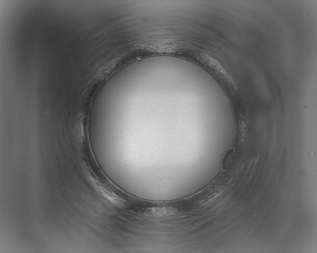 X0000073950541200609051755