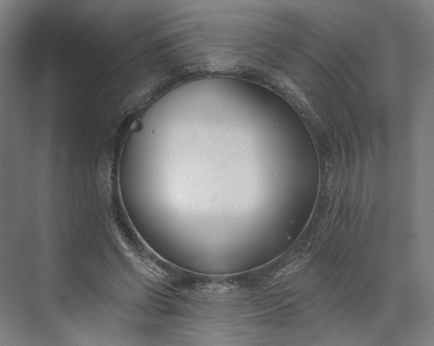 X0000073950542200609051755