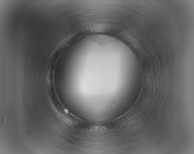 X0000073950543200609051755