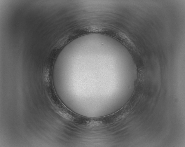 X0000073950549200609051755