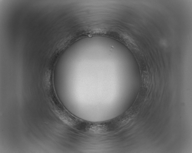 X0000073950550200609051755