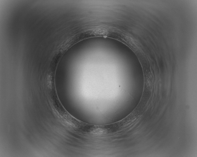 X0000073950551200609051755