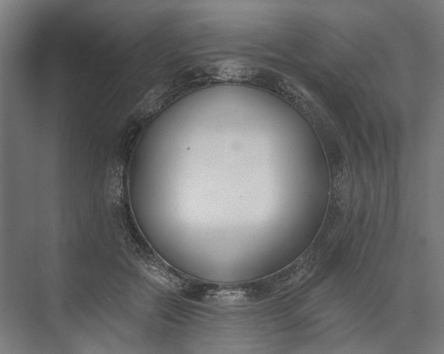 X0000073950554200609051755