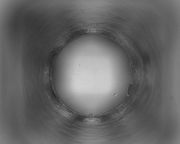 X0000073950557200609051755