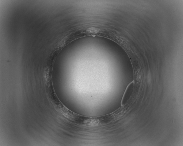 X0000073950559200609051755