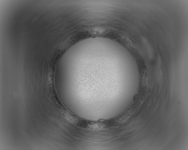 X0000073950561200609051756