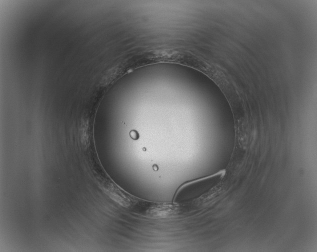 X0000073950563200609051756