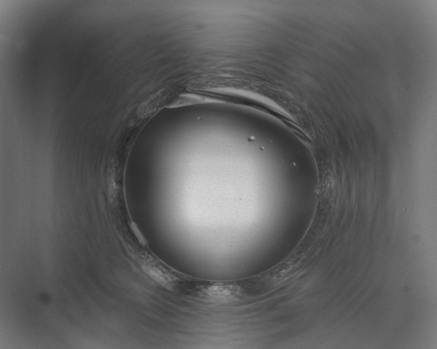 X0000073950566200609051756