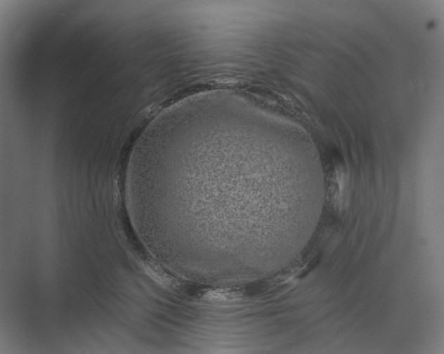 X0000073950568200609051756