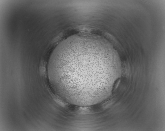 X0000073950573200609051756