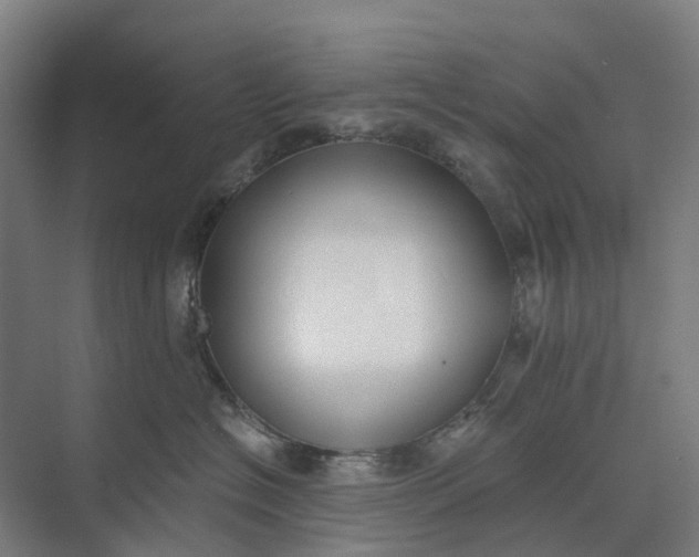 X0000073950574200609051756