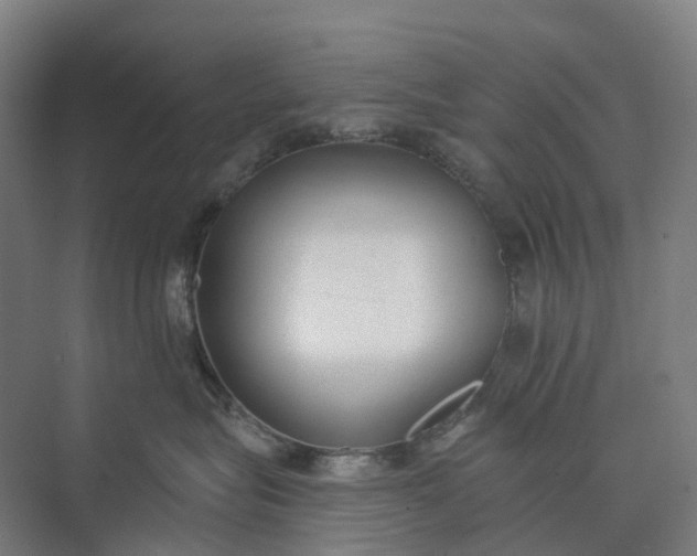 X0000073950575200609051756