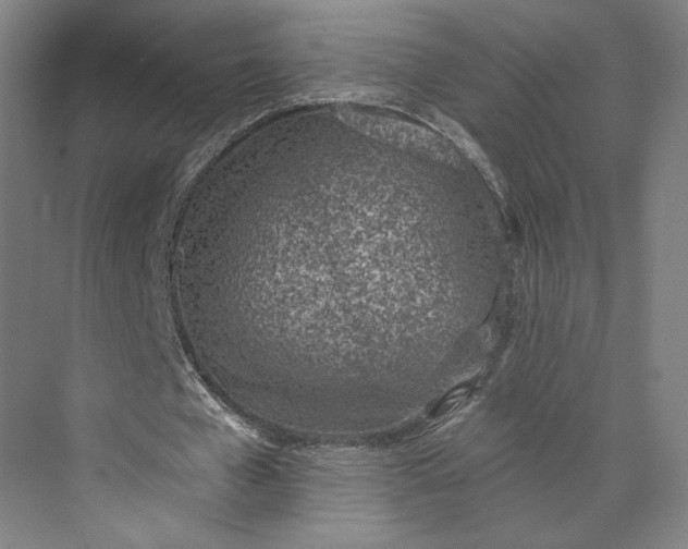 X0000073950577200609051755