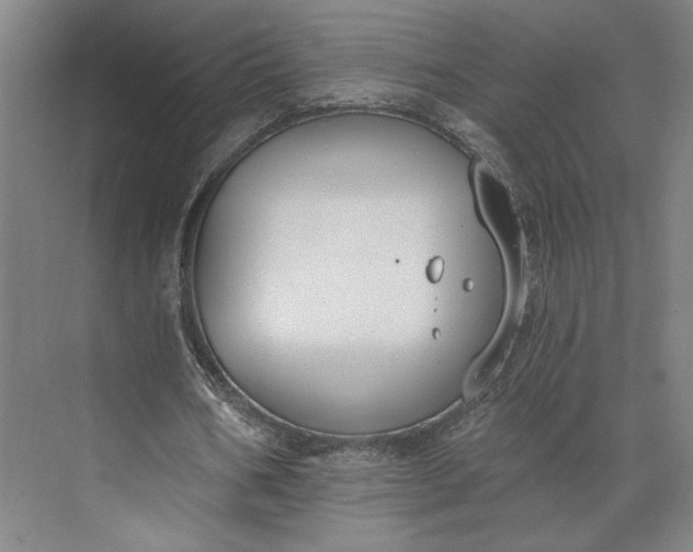 X0000073950578200609051755