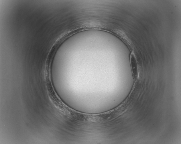 X0000073950579200609051755