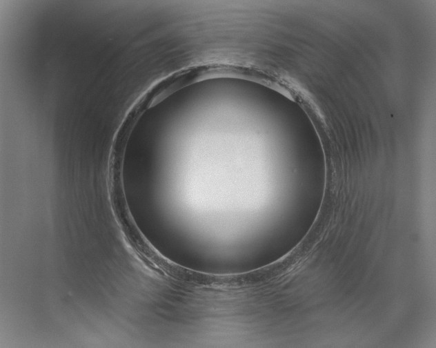 X0000073950580200609051755