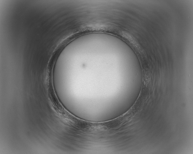 X0000073950583200609051755