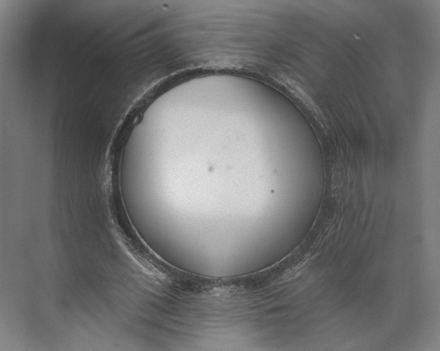 X0000073950584200609051755