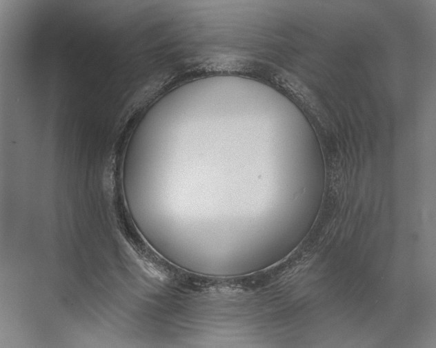 X0000073950586200609051755