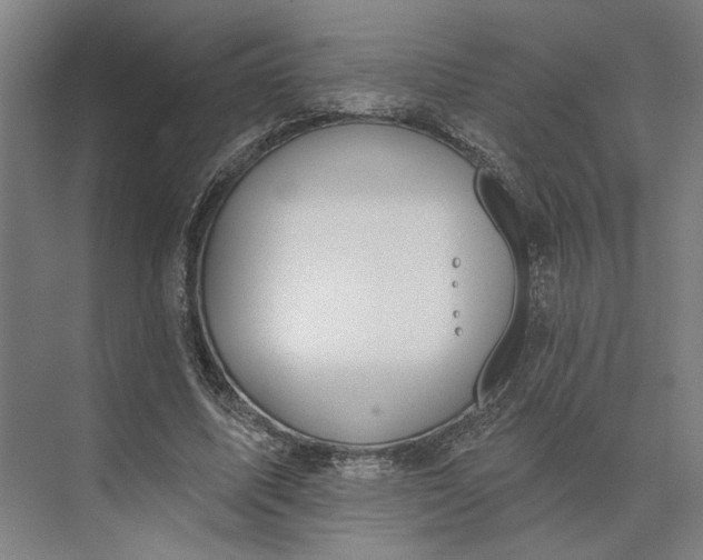 X0000073950587200609051755