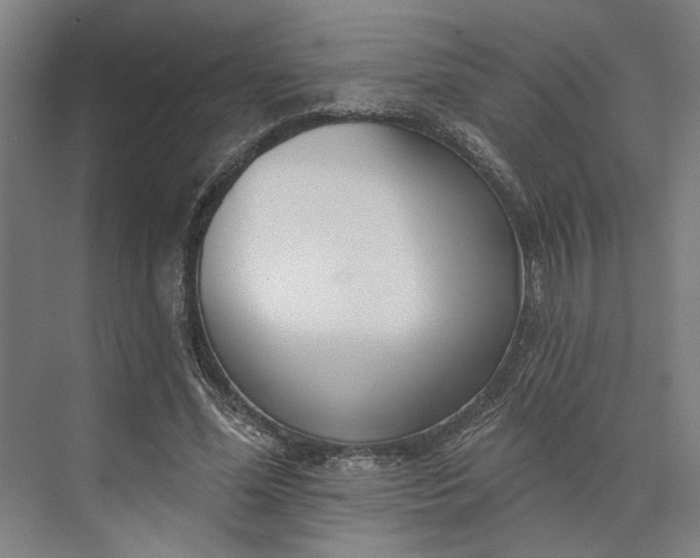 X0000073950588200609051755